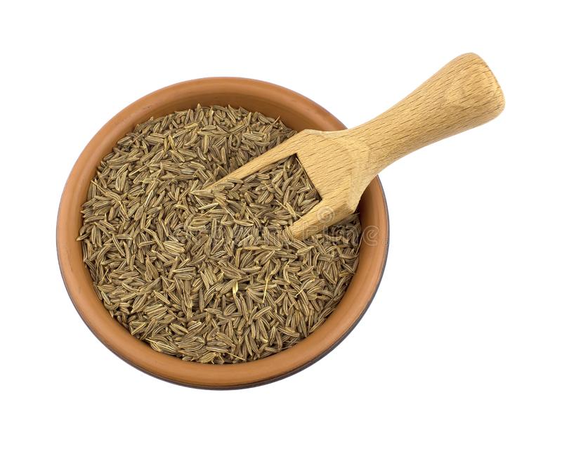 CUMIN SEEDS (JEERA SEEDS)